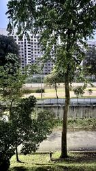 Blk 805B Keat Hong Pride (Choa Chu Kang), HDB 4 Rooms #559671401